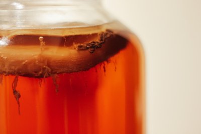 Waarom gefermenteerde voeding zo goed is voor je darmen